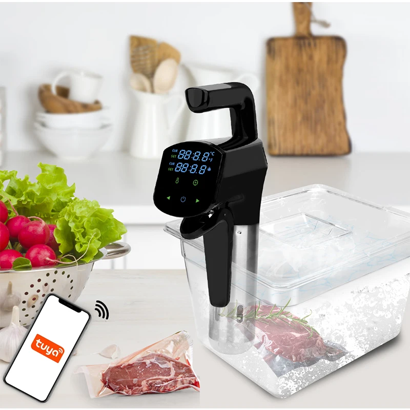 110V/220V Commercial Sous Vide - огляд і ціна Home Cooking Machine